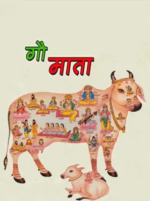 Gau Mata android App screenshot 2